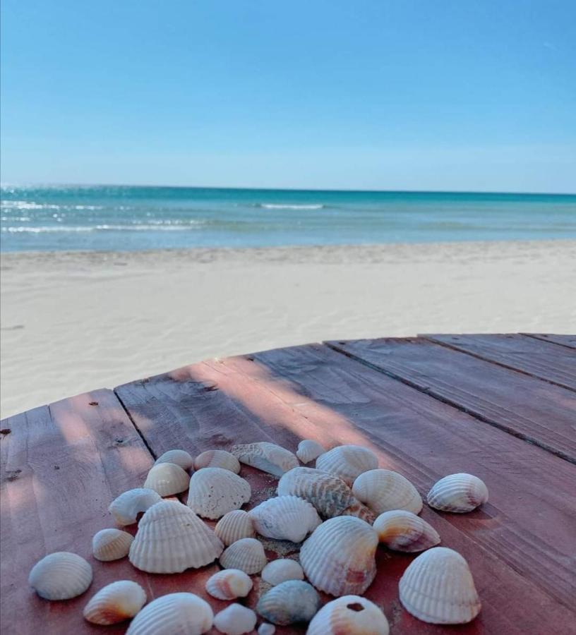 La Dolce Vita - Apartment With Shared Pool And Large Terrace Lido delle Nazioni Exterior foto